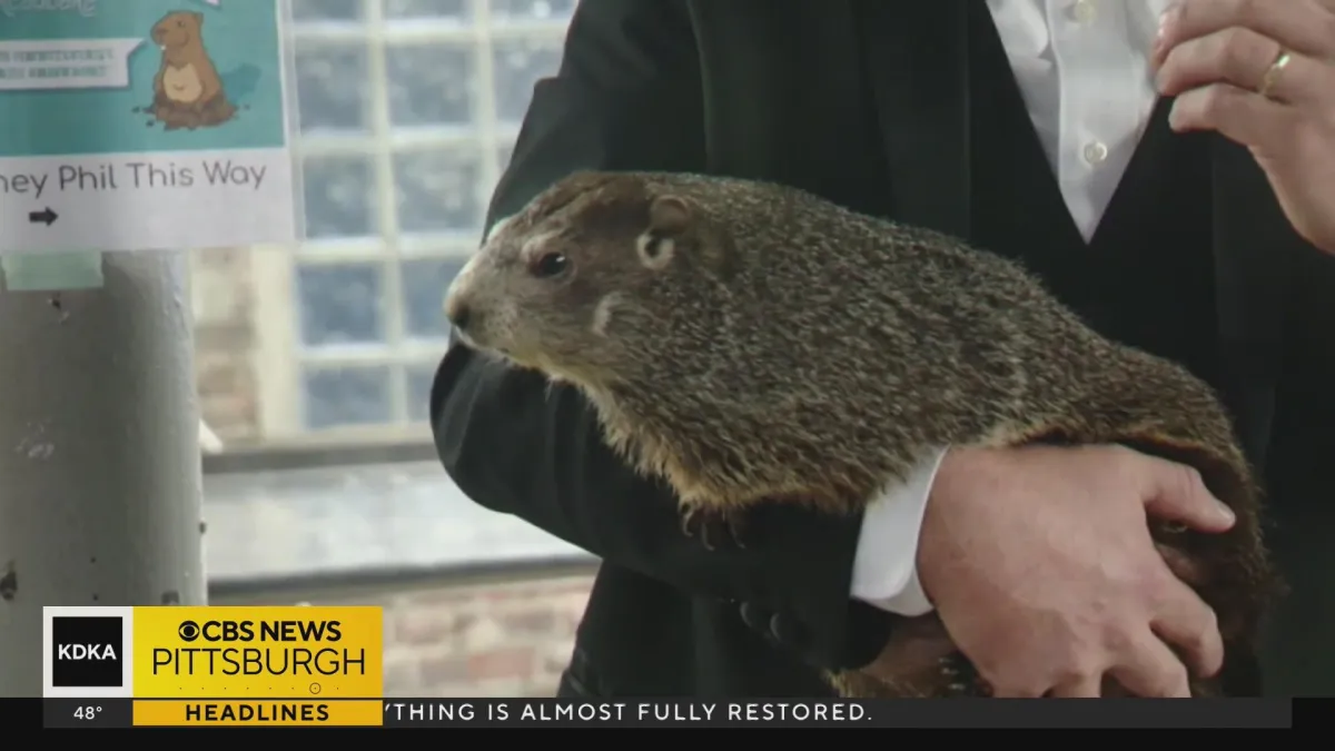 Punxsutawney Phil